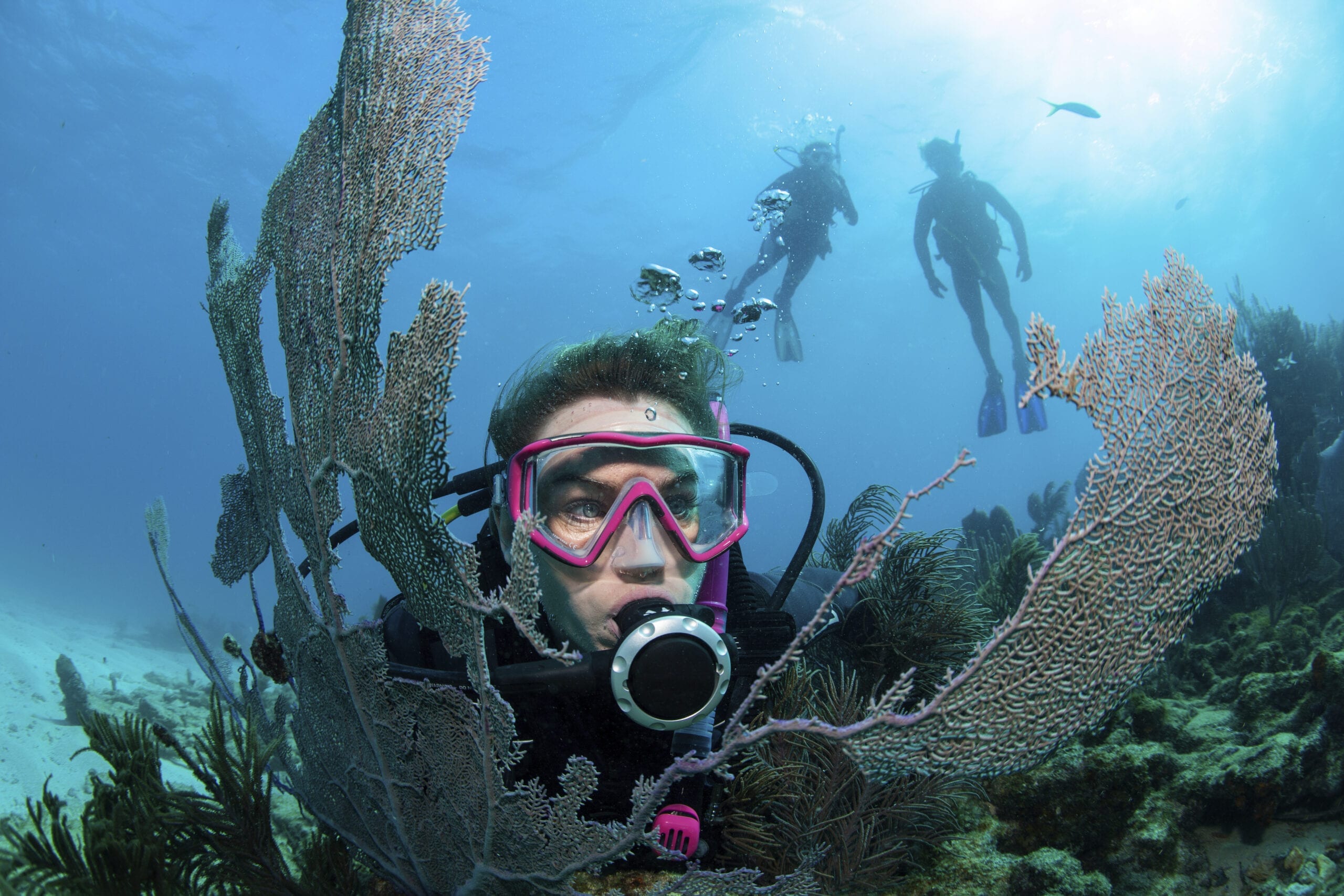 Scuba Diving in the UK