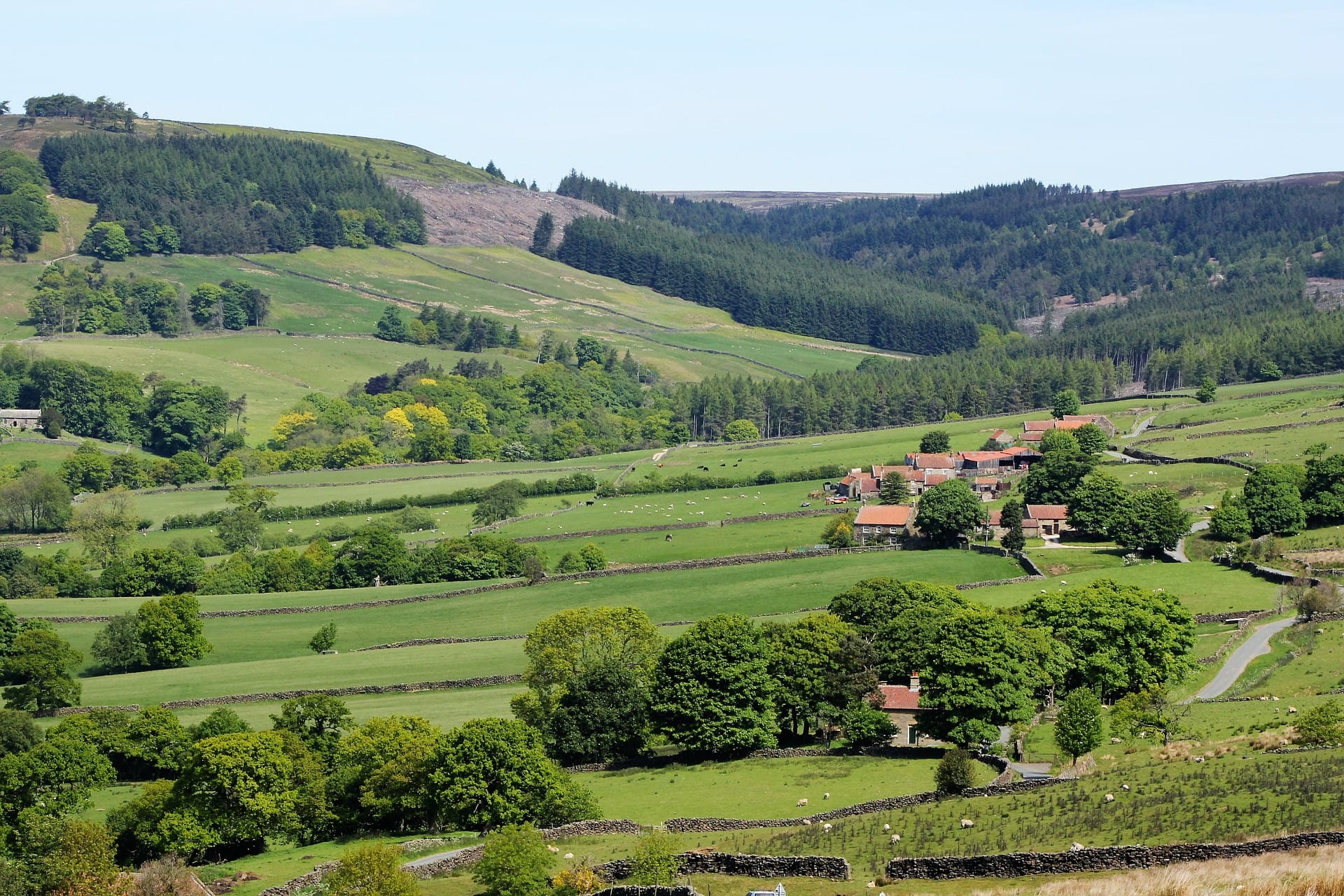 Yorkshire Moors (2)