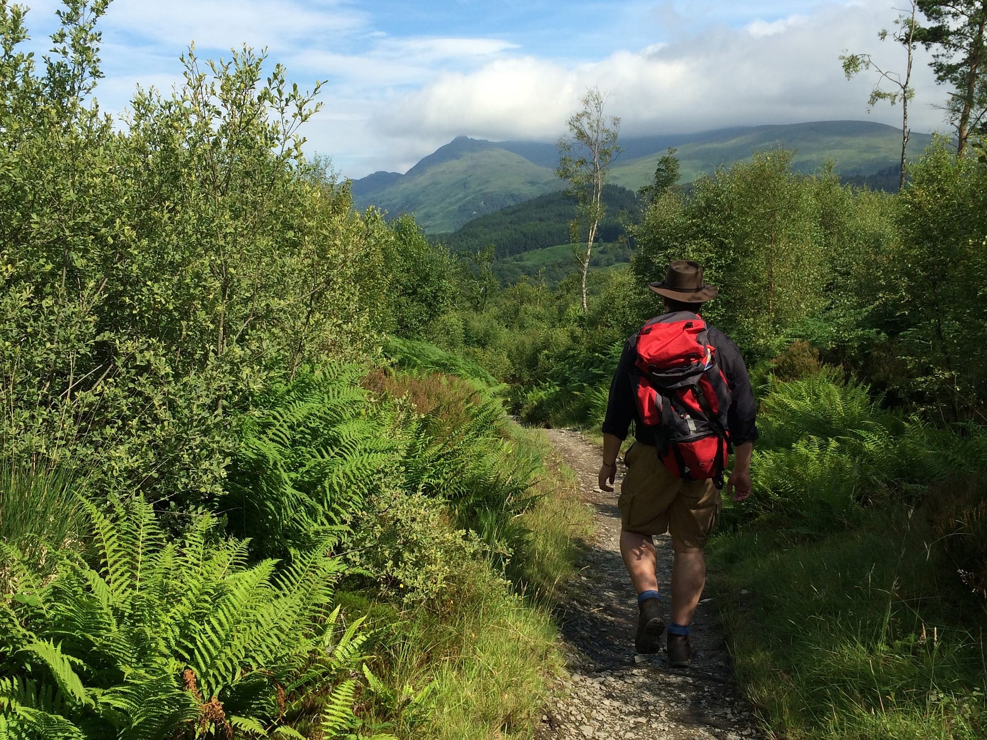 Hiker Walking between trees on the west highland way