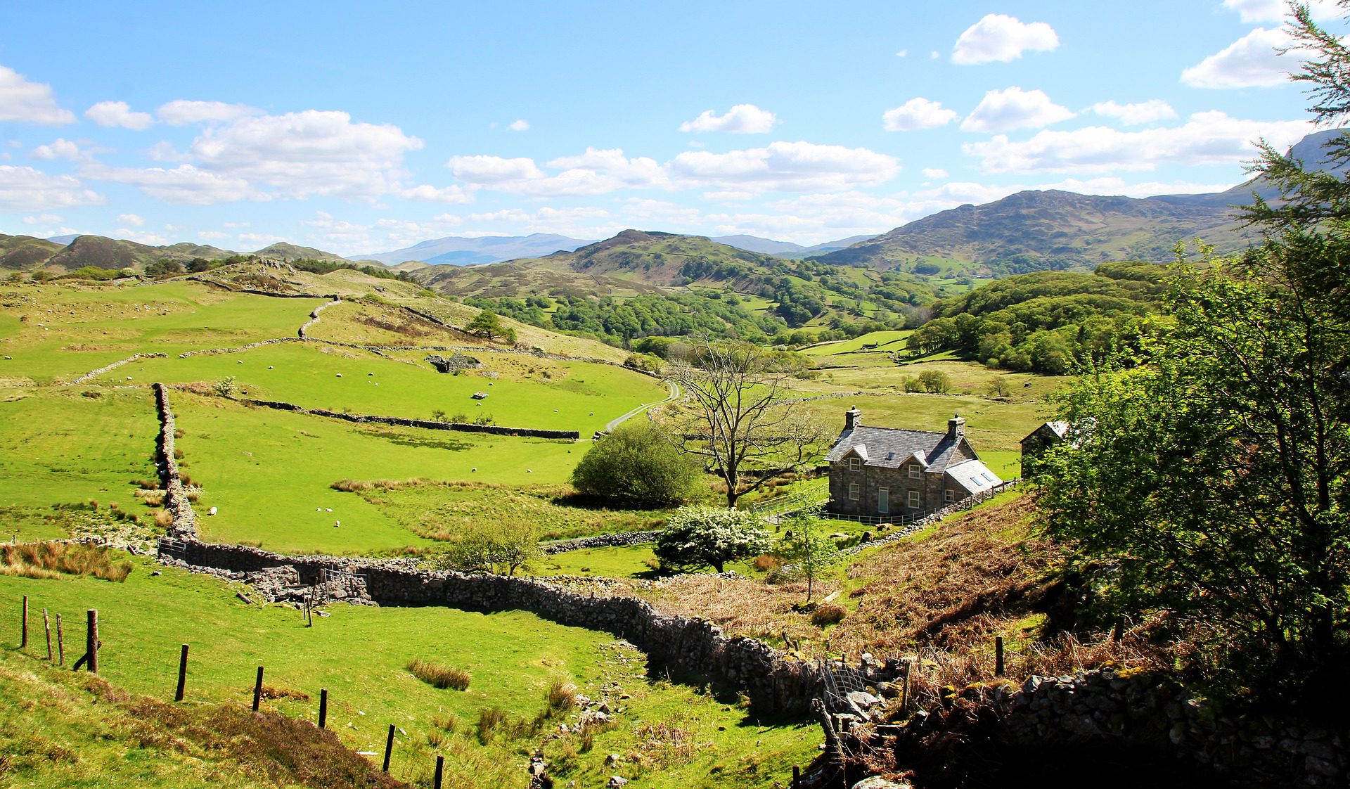 Cottage in Snowdon