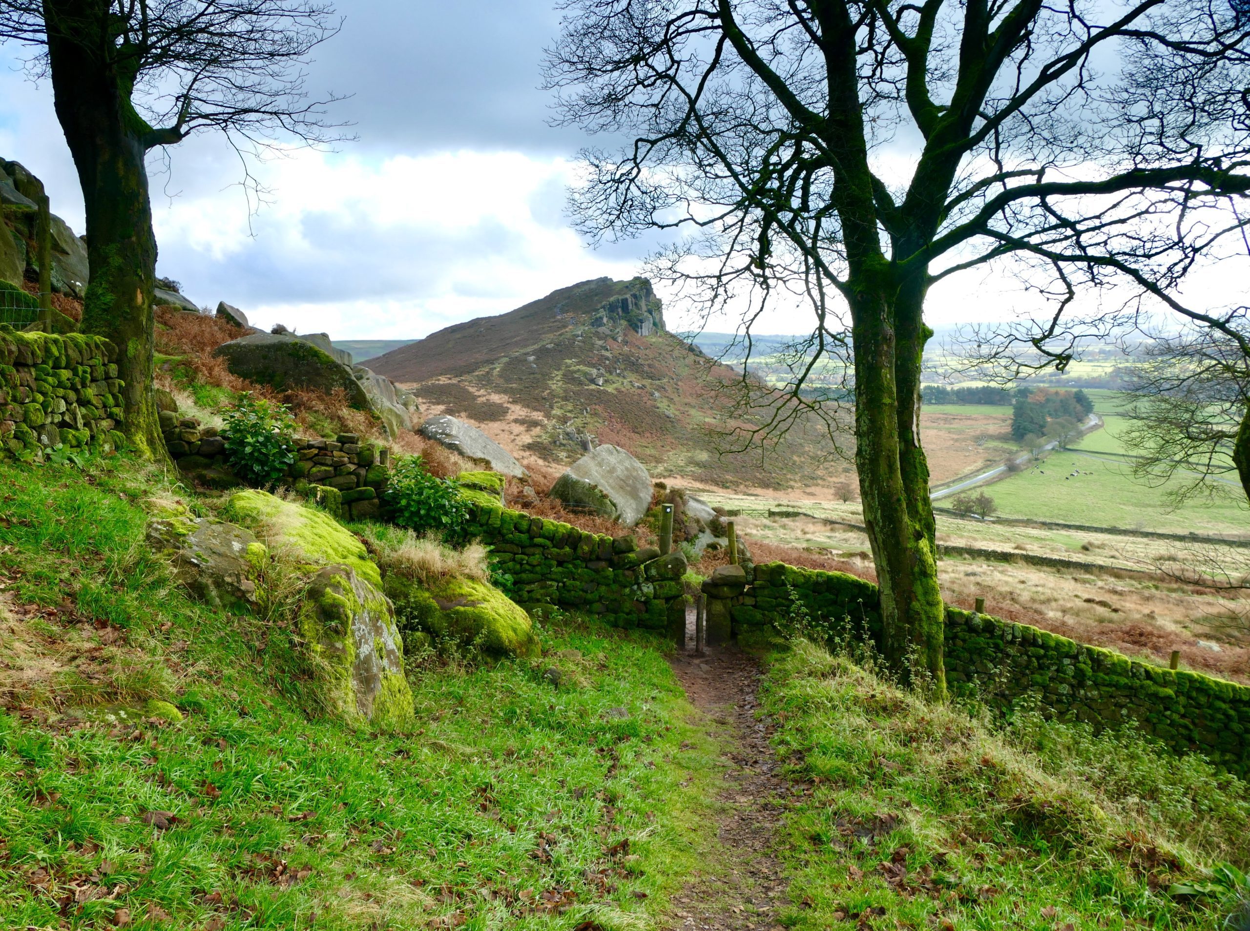 Stone Wall on the Pennine Way
