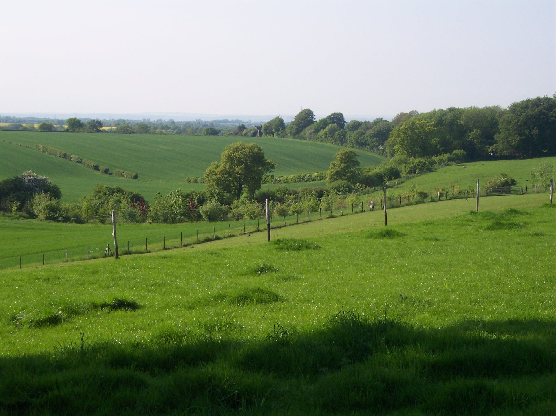 Countryside view on the north downs way