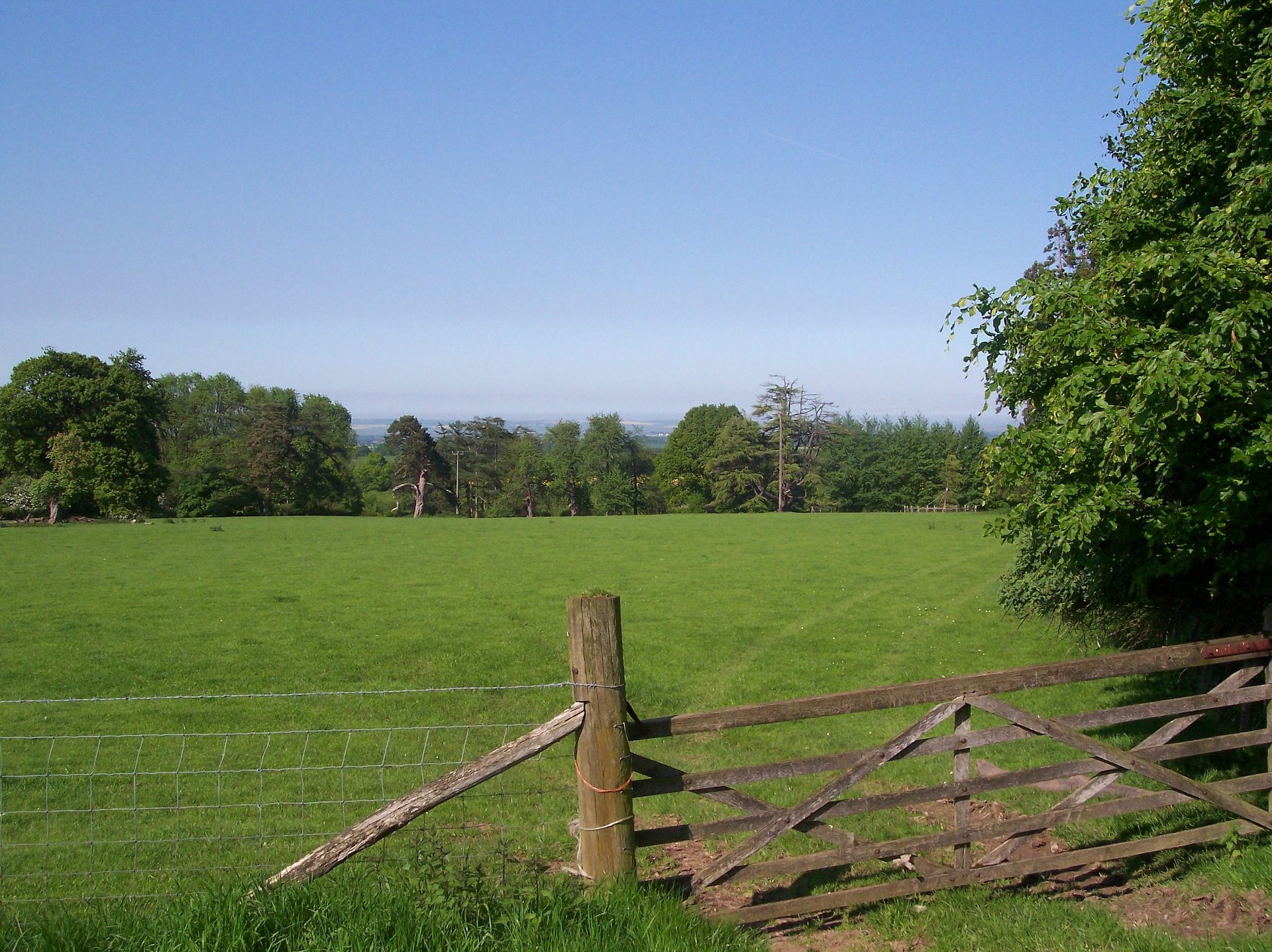 Countryside walk on the north downs way