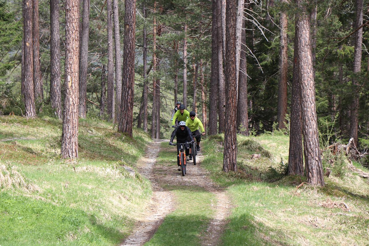 Swindley Forest Mountain Biking