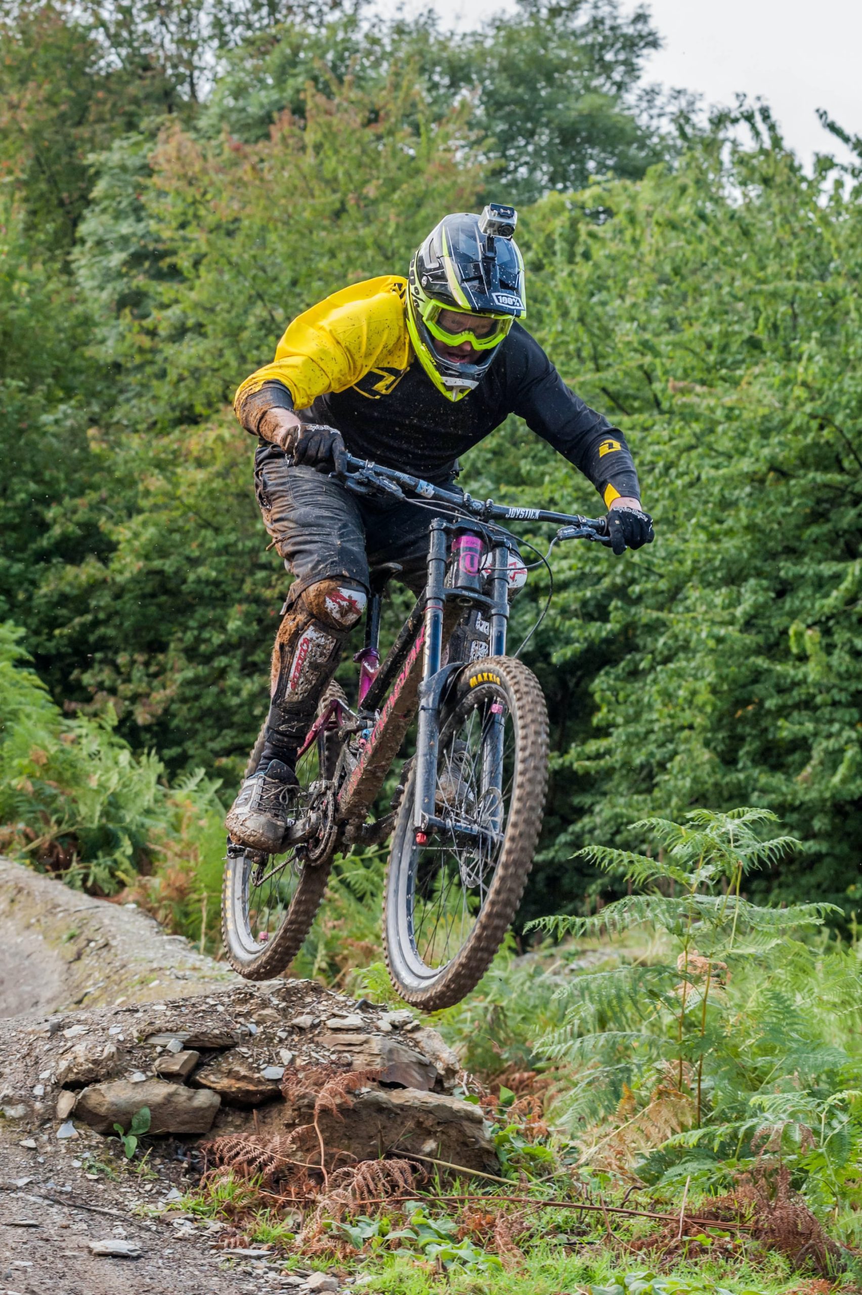 Coed y Brenin Mountain Biking