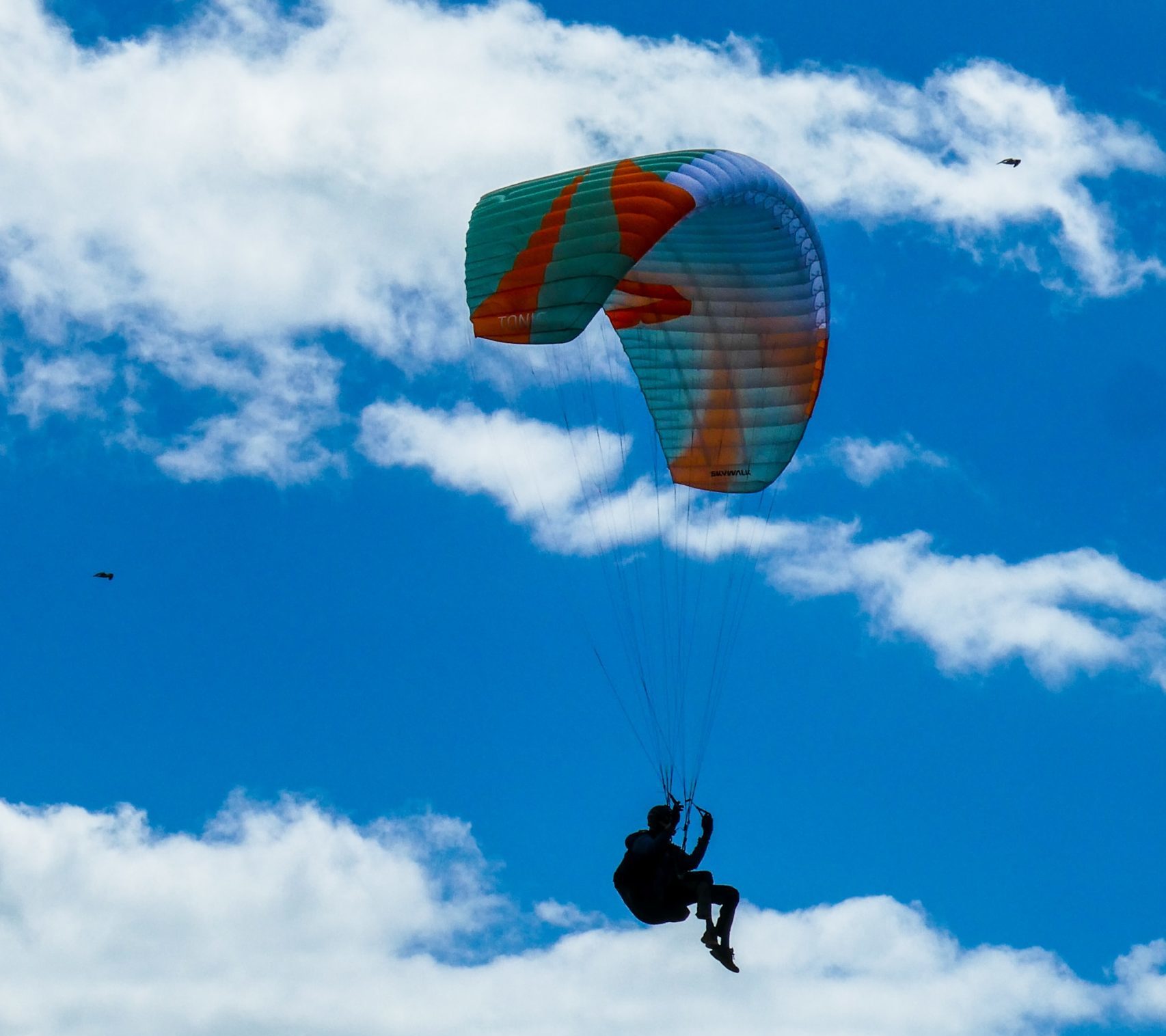 Cloud 9 Paragliding